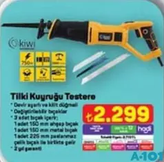 KİWİ TİLKİ KUYRUĞU TESTERE KİWİ TİLKİ KUYRUĞU TESTERE